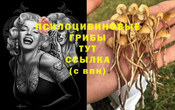 ПСИЛОЦИБИНОВЫЕ ГРИБЫ Белоозёрский