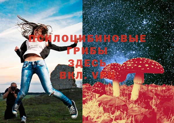 альфа пвп Беломорск